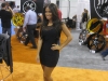 Girls of SEMA 2010